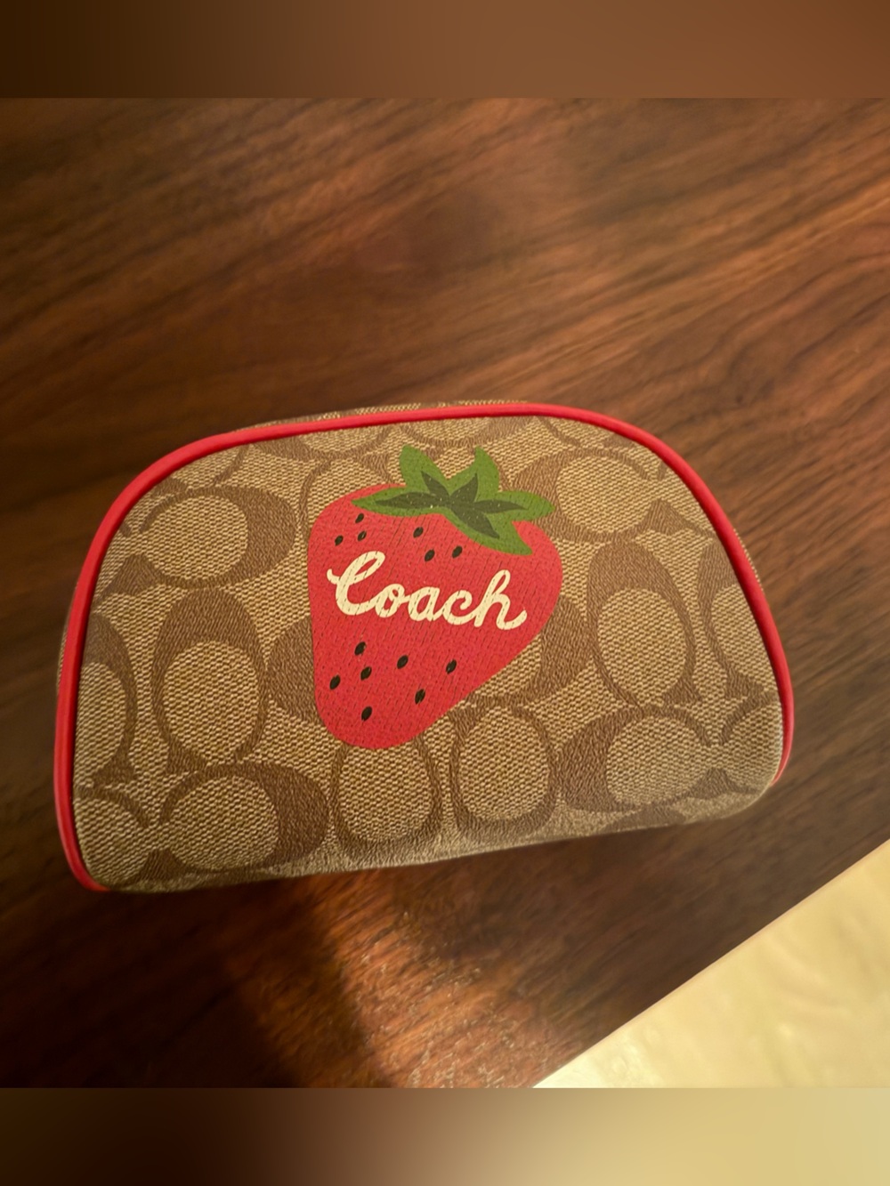 Coach Kids Strawberry Print Sunglasses Case - Brown & Red